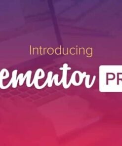 Elementor Pro
